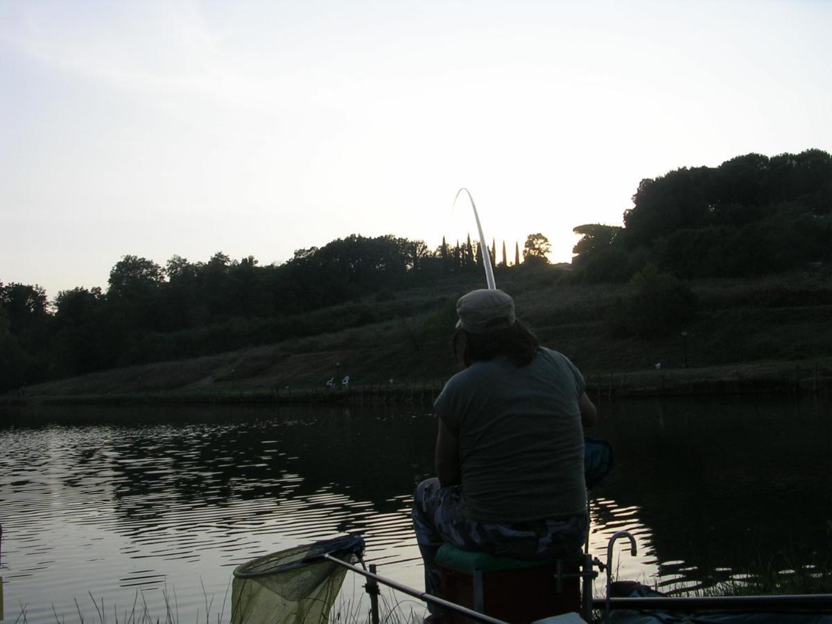 Da Simone Podere Santi Lucia E Pietro Siena Exteriör bild